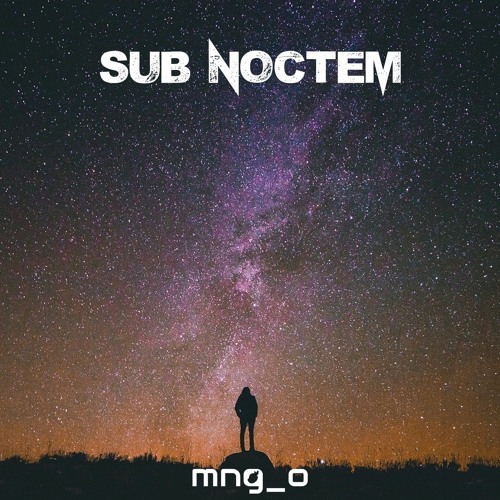 Sub Noctem