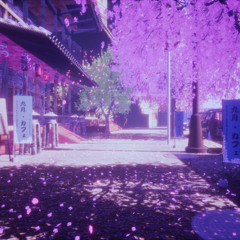 cherry blossom