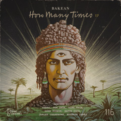 Premiere: BAKEAN - How Many Times (Tebra Remix) [Cosmic Awakenings]