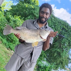 Tractor Marcell Entertainment