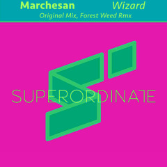 Wizard [Superordinate Music]