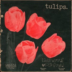 tulips. w/ optik sound