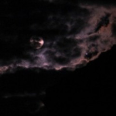 Project "Slow it Down" Ch.2-115-09.24