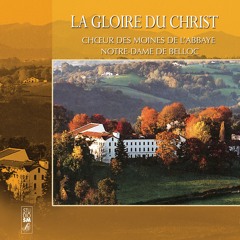 Gregorian Chants & Hymns for Sleep, Study & Solitude  3