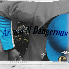 Armed N Dangerous