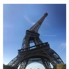 DUNDEE X BERLIN - NEMUSIS BAT SE