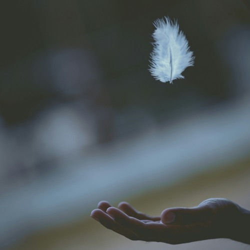 Mindfulness Meditation with Feather 17 mins