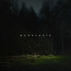 E C H O E S - O F - T H E  - H I D D E N - F O R E S T | Awaken the Spirit Within