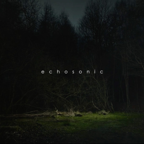 E C H O E S - O F - T H E  - H I D D E N - F O R E S T | Awaken the Spirit Within