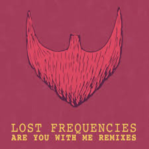 LOST FREQUENCIES - ARE YOU WITH ME (HAKAN YILDIZ & SARUHAN DIKER MIX)