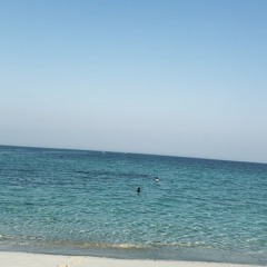 mashup البدايات