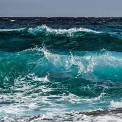 Organist of the sea