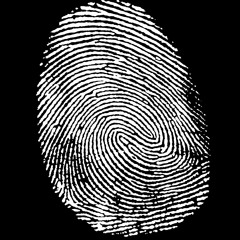 The Identity Hidden In The Fingerprint