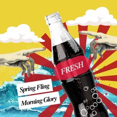 Spring Fling Morning Glory