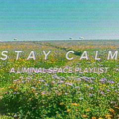 S T A Y  C A L M  (A LIMINAL SPACE PLAYLIST) - GAKHED