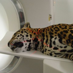 SEE YOU MONDAY 001: Transformative Spaces