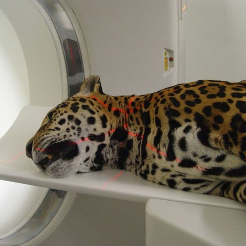 SEE YOU MONDAY 001: Transformative Spaces