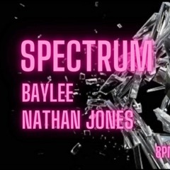 SPECTRUM BAYLEE 31st MARCH 2022