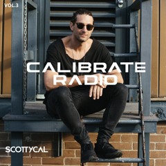 Calibrate Vol.3