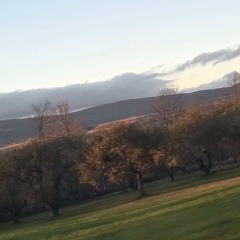 placeholder93 (slowcore hiphop)