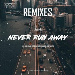 Lifebirds - Never Run Away (Nando Fortunato Remix)