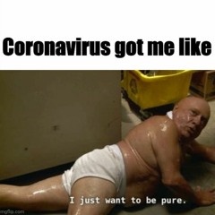Pure Frank