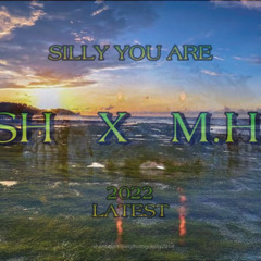 NSH X M.H.B - SILLY YOU ARE