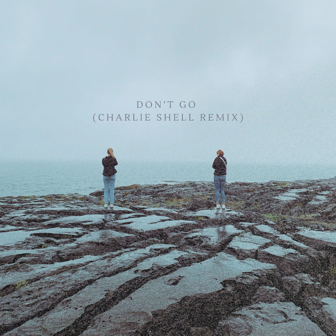 Stream Charlie Shell, Frankie Allan - Don't Go II [Out Now] by Charlie ...