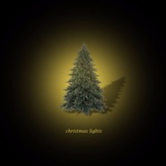 Christmas Lights