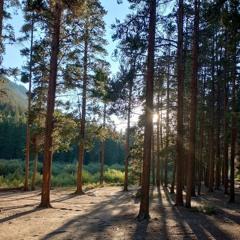 Pictures of Lyrics.  Prod. FLOWKii