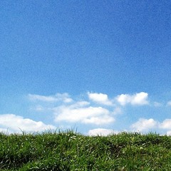 If I Pretend It's Not There, Will It Go Away? (Prod. Bleech)