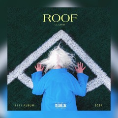 Lil Sarry - Roof