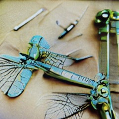 Dragonfly Surgery
