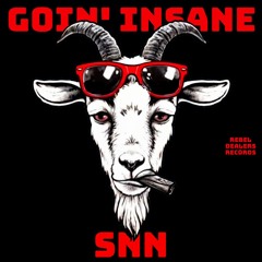 SNN - Goin' Insane (rave cut)