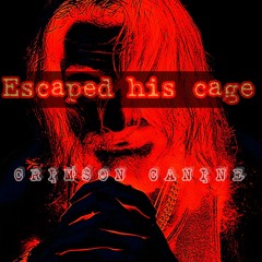 Escapes the cage