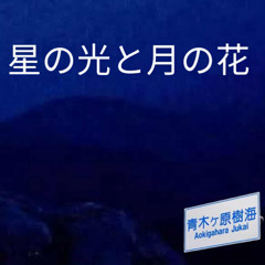 Aokigahara Forest