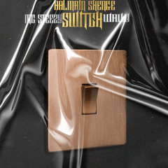 Switch (ft. Wav.y)