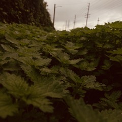 LöSt So MaNÿ PeØpŁe