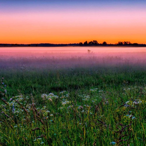 Monica - Everything To Me (Beautiful Piano)