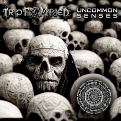 Triptamined - Uncommon Senses