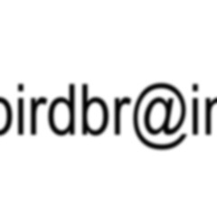 birdbrain {fuckkyurem}