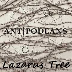Lazarus Tree