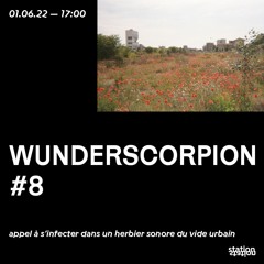 WUNDERSCORPION #8 - appel à s'infecter dans un herbier sonore du vide urbain