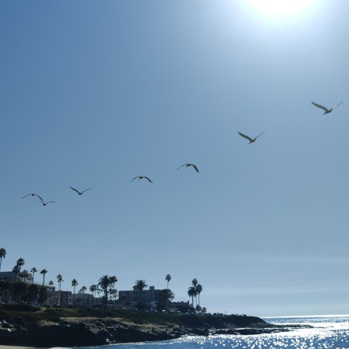 tug of word (beat by map)