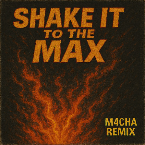 SHAKE IT TO THE MAX (House Remix)