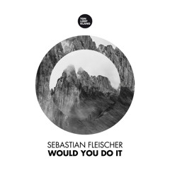 Sebastian Fleischer - Would You Do It !!! OUT NOW !!!