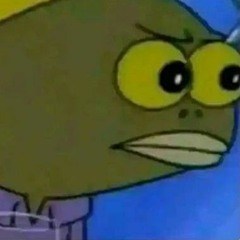 𓂀$𝗽𝗼𝘁𝗶𝗳𝘆 𝗽𝗹𝗮𝘆𝗹𝗶𝘀𝘁𓂀