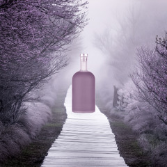 path to liqa