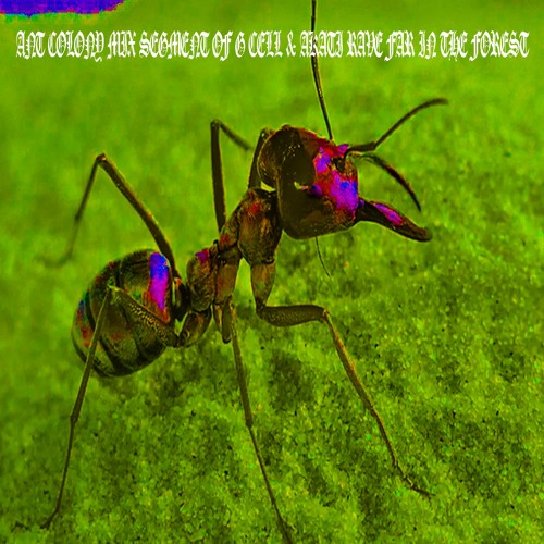 Stream G CELL & AKATI RAVE IN WOODS REMOTE AREA PART 6 OF 271 ANT ...