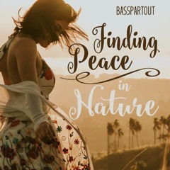 Finding Peace In Nature | Beautiful Inspirational Acoustic Background Music for Video